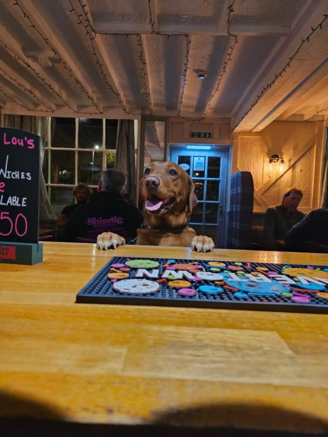 Hotel Dog And Partridge